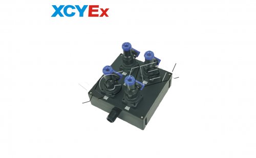 BXS8030系列防爆防腐電源插座箱(IIC)